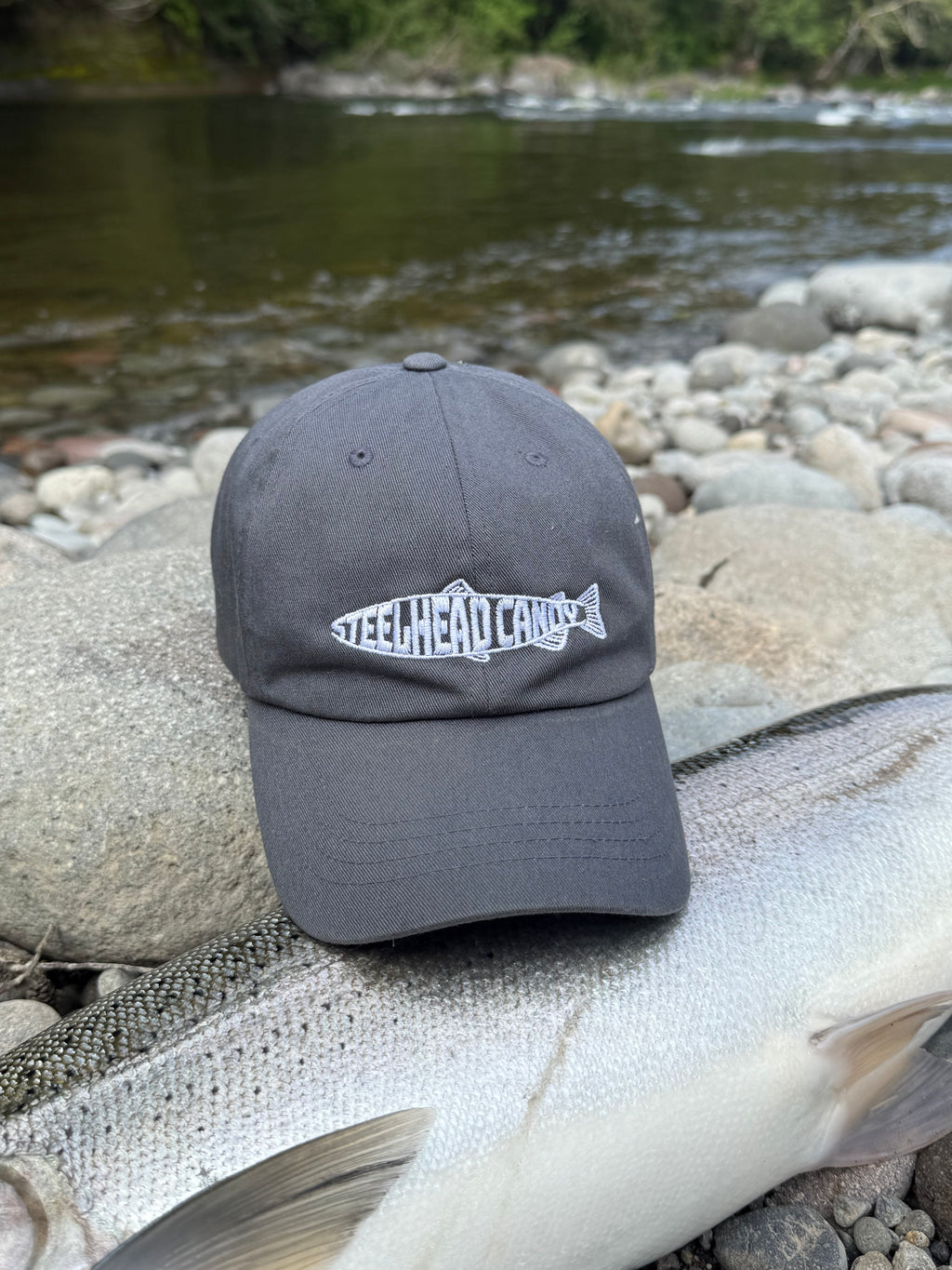 Steelhead Candy Dad Hat Printify 