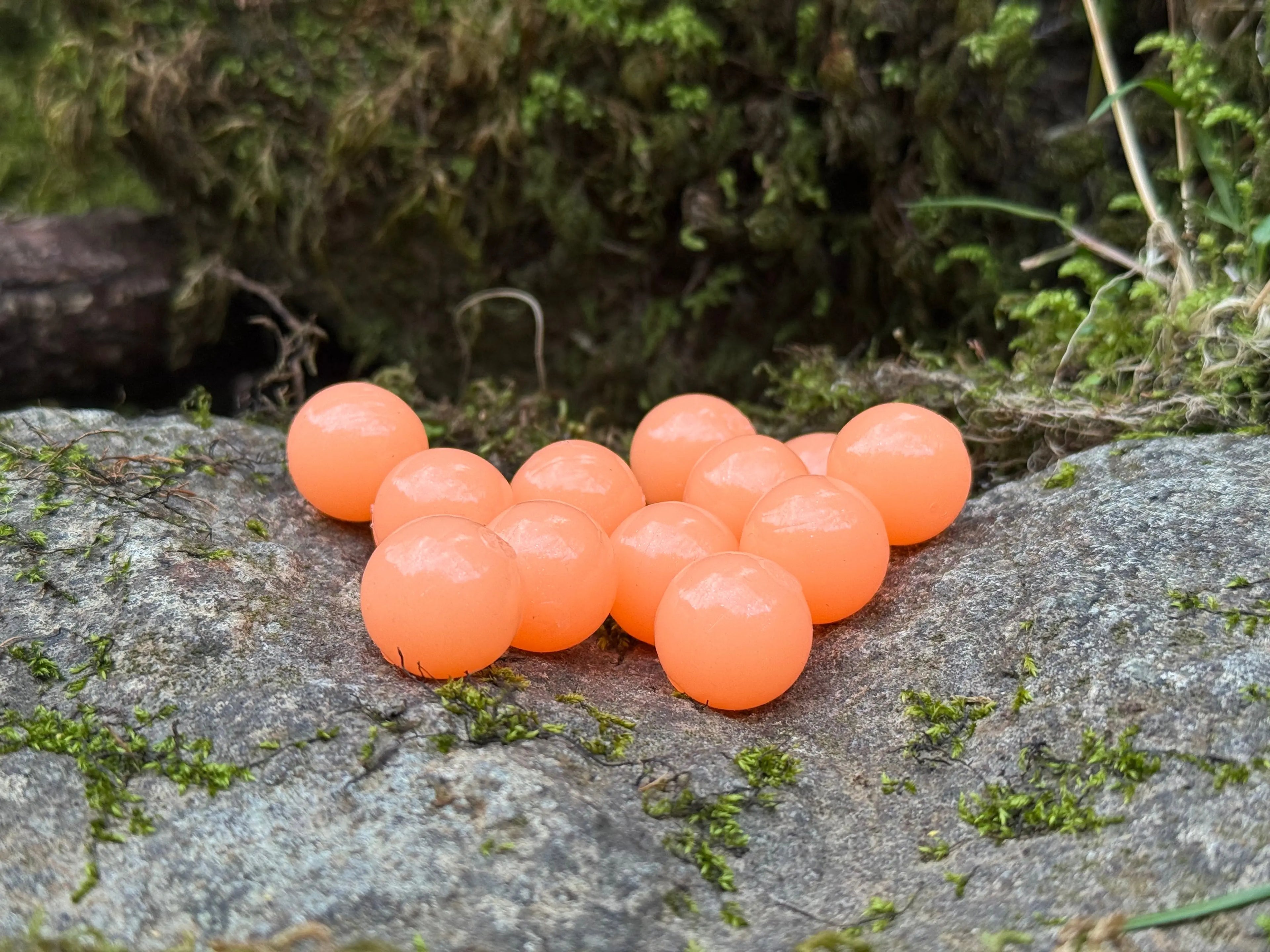 Orange Cream Steelhead Candy 