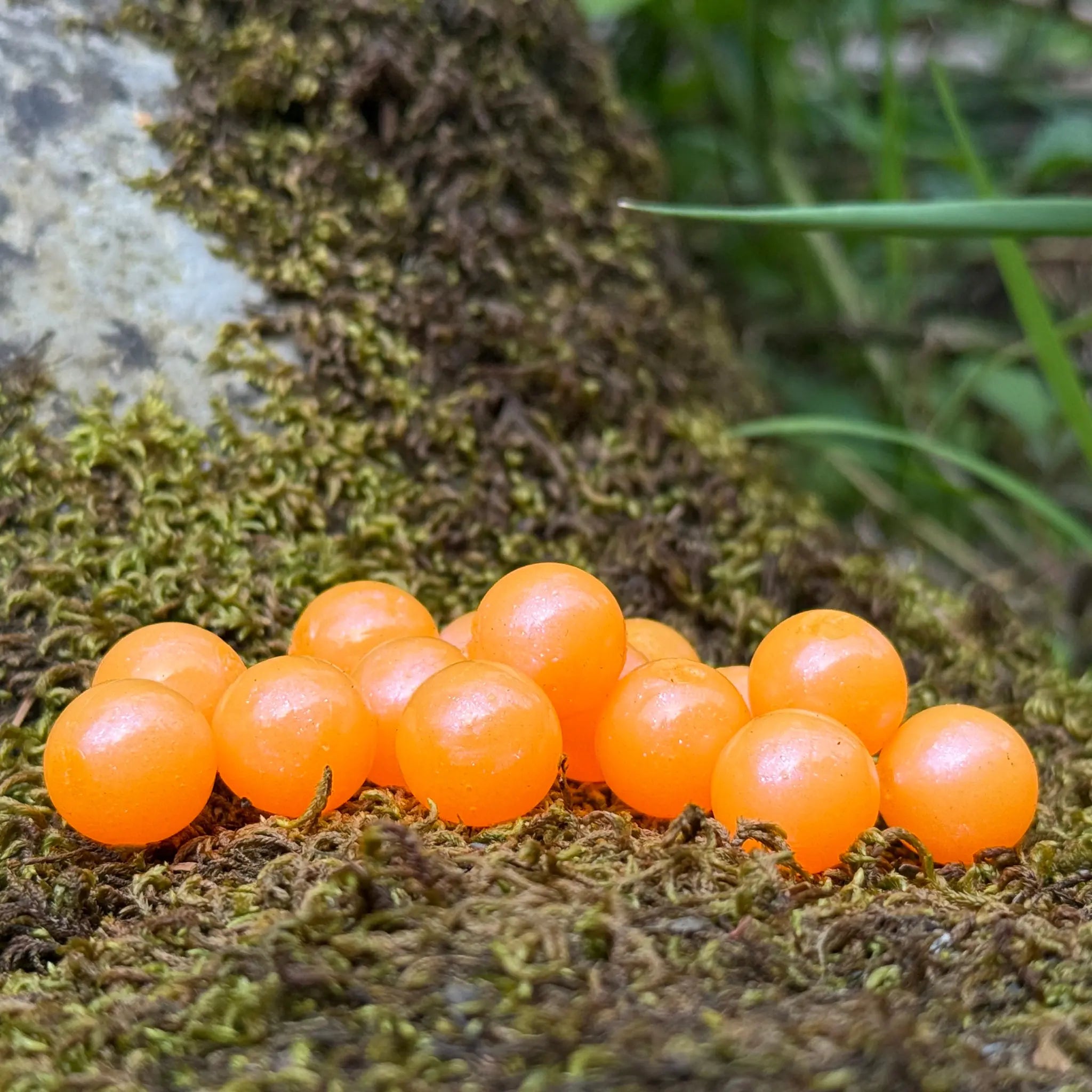 Orange Cream Steelhead Candy 
