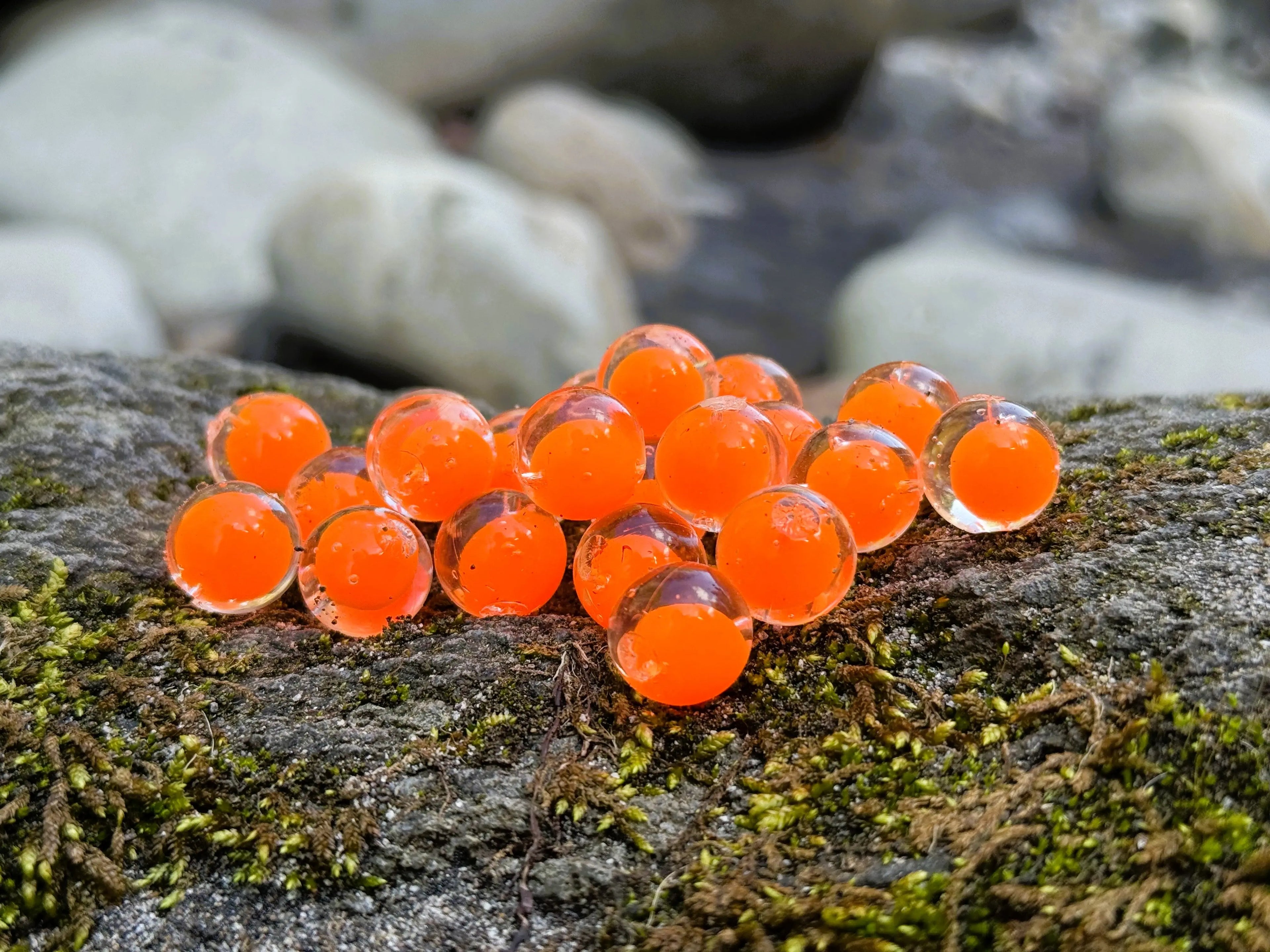 Orange Embryo Steelhead Candy 