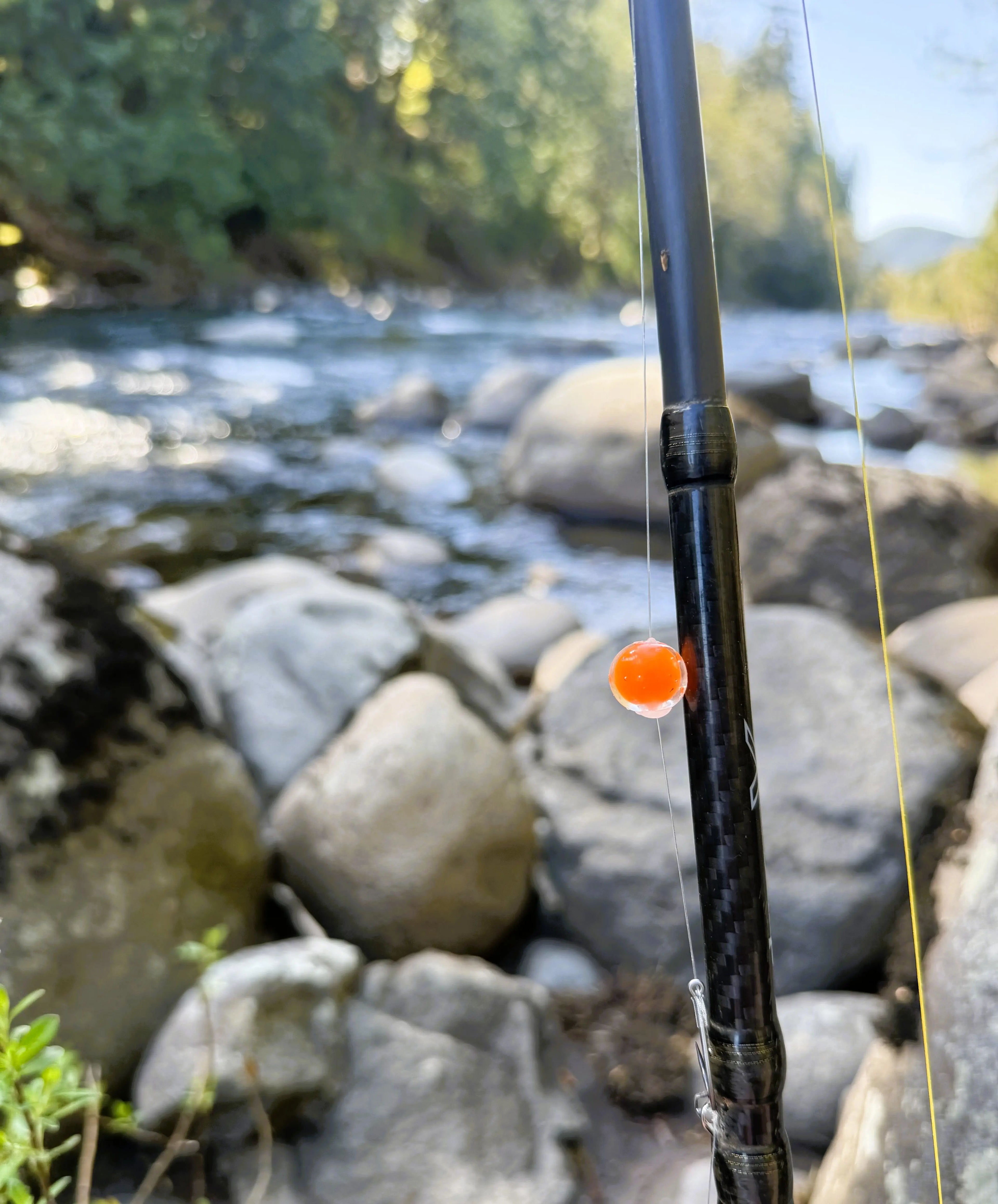 Orange Embryo Steelhead Candy 