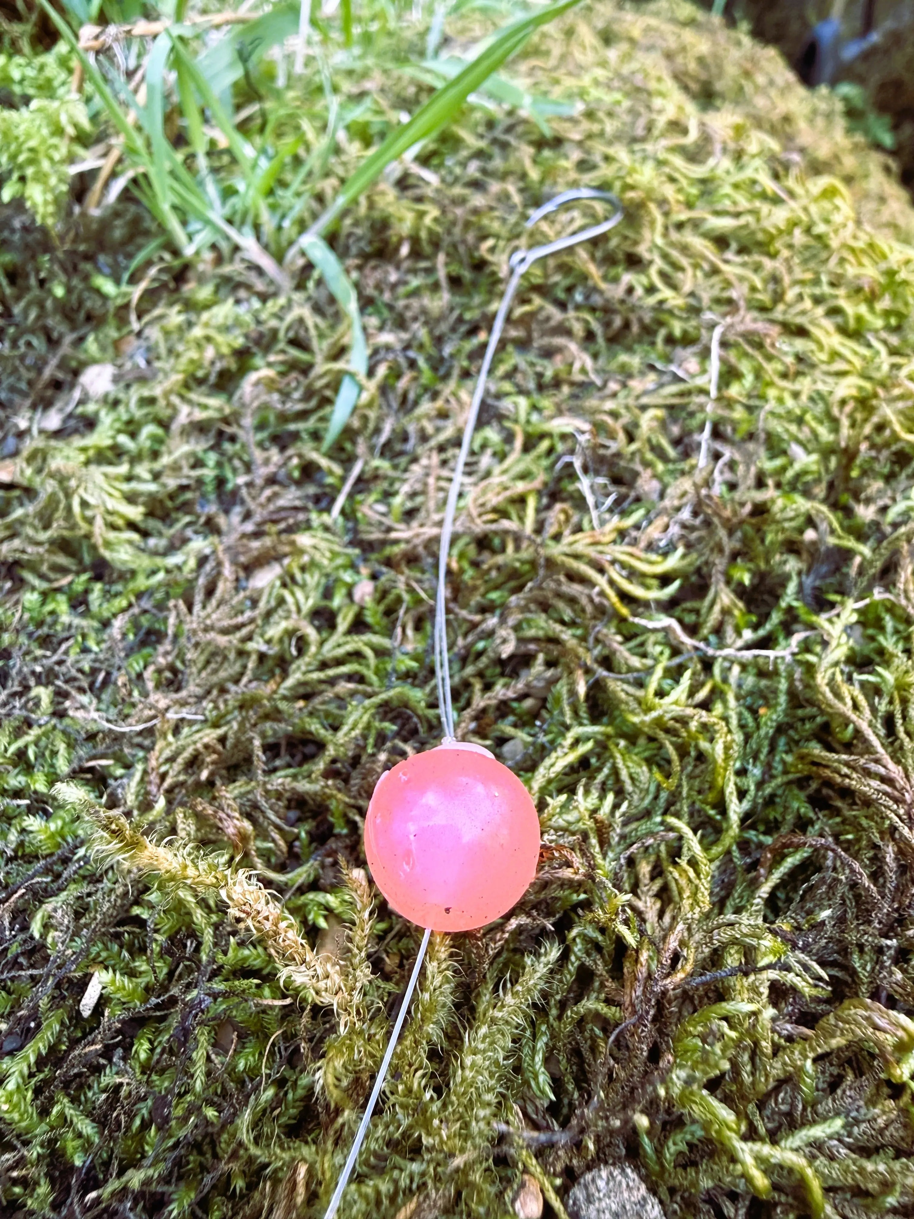 Sandy Peach Steelhead Candy 