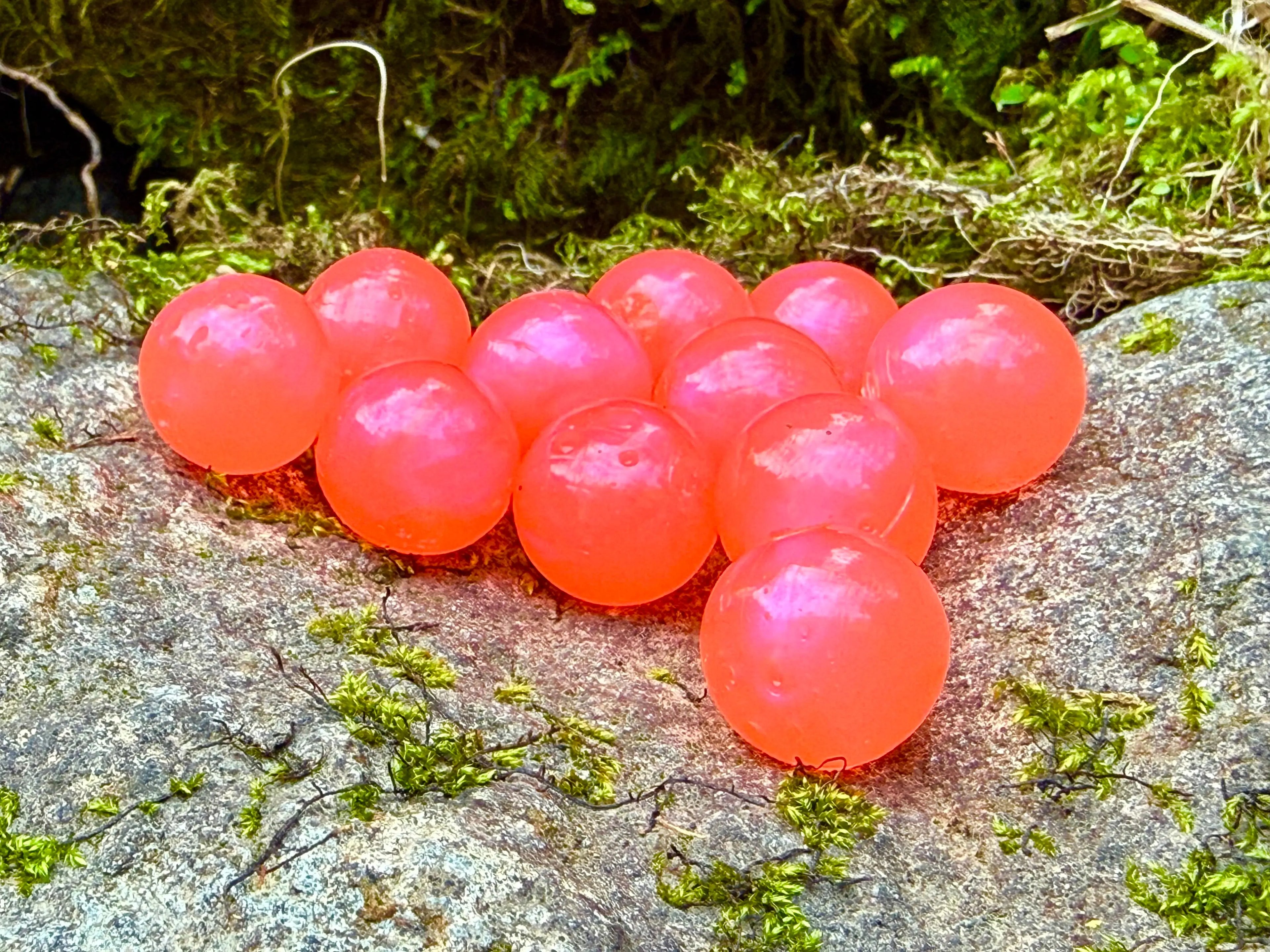 Sandy Peach Steelhead Candy 