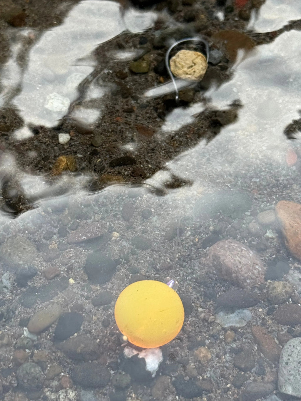 Sunnyside Up Steelhead Candy 