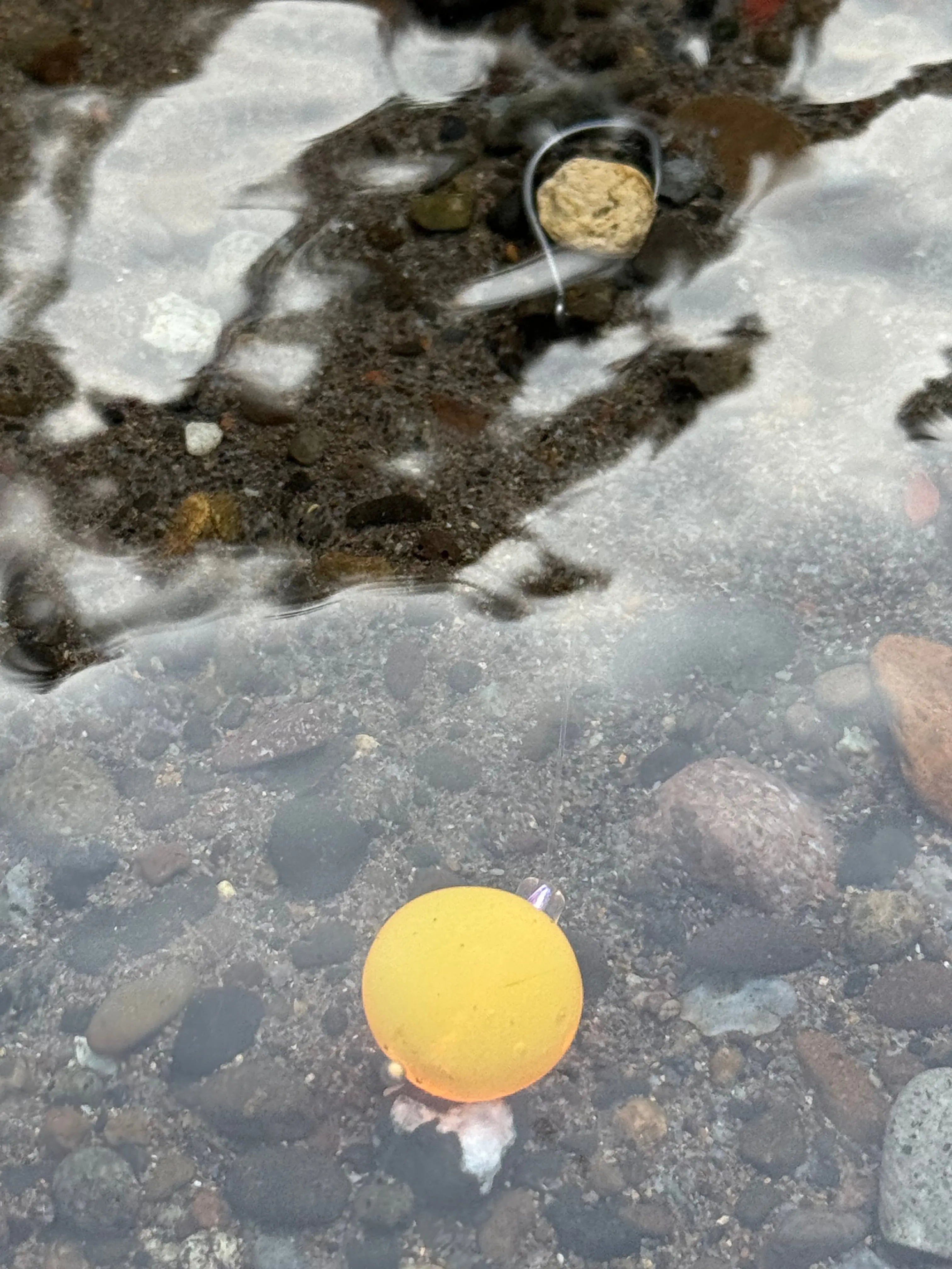 Sunnyside Up Steelhead Candy 