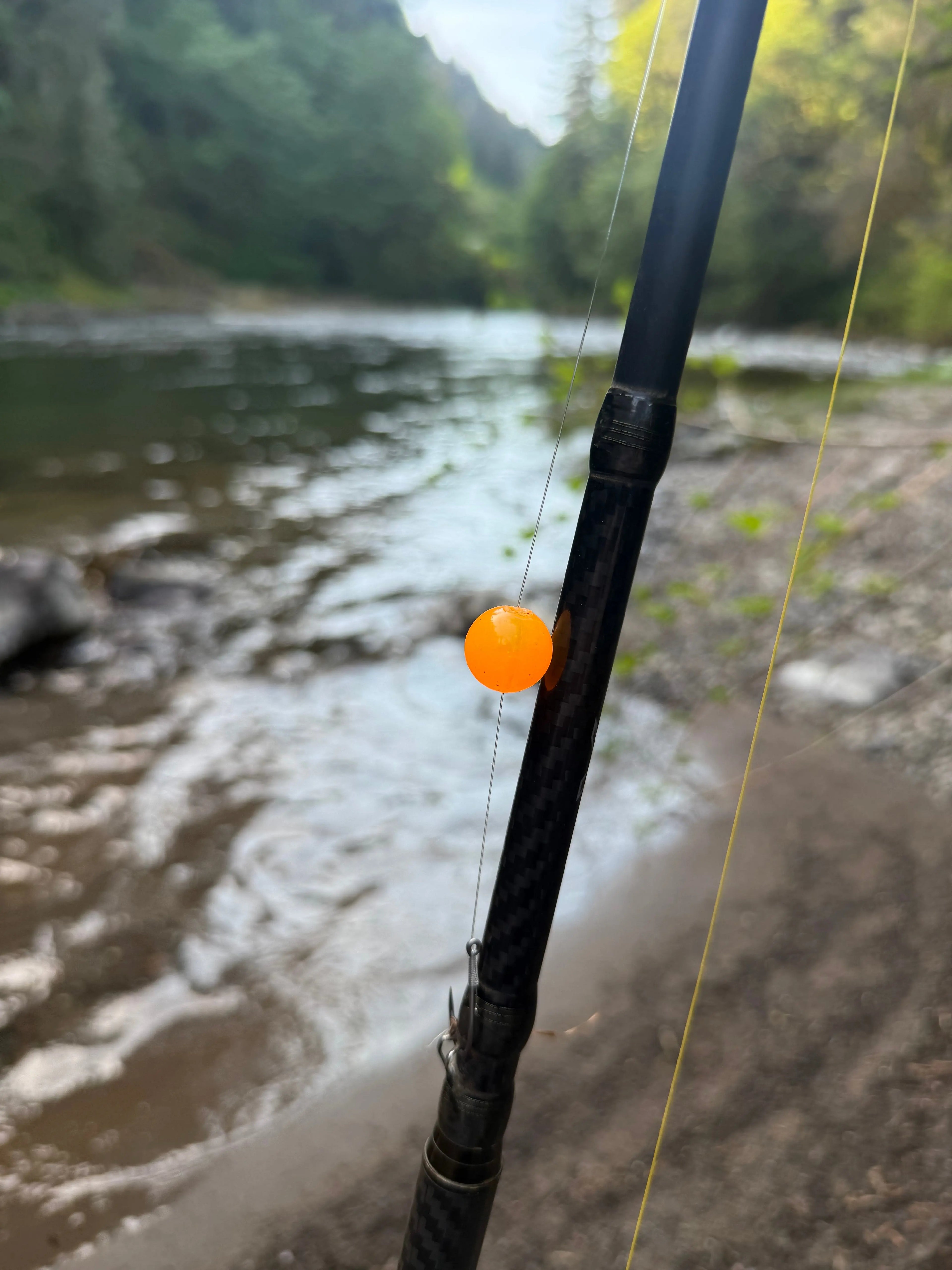 Sunnyside Up Steelhead Candy 